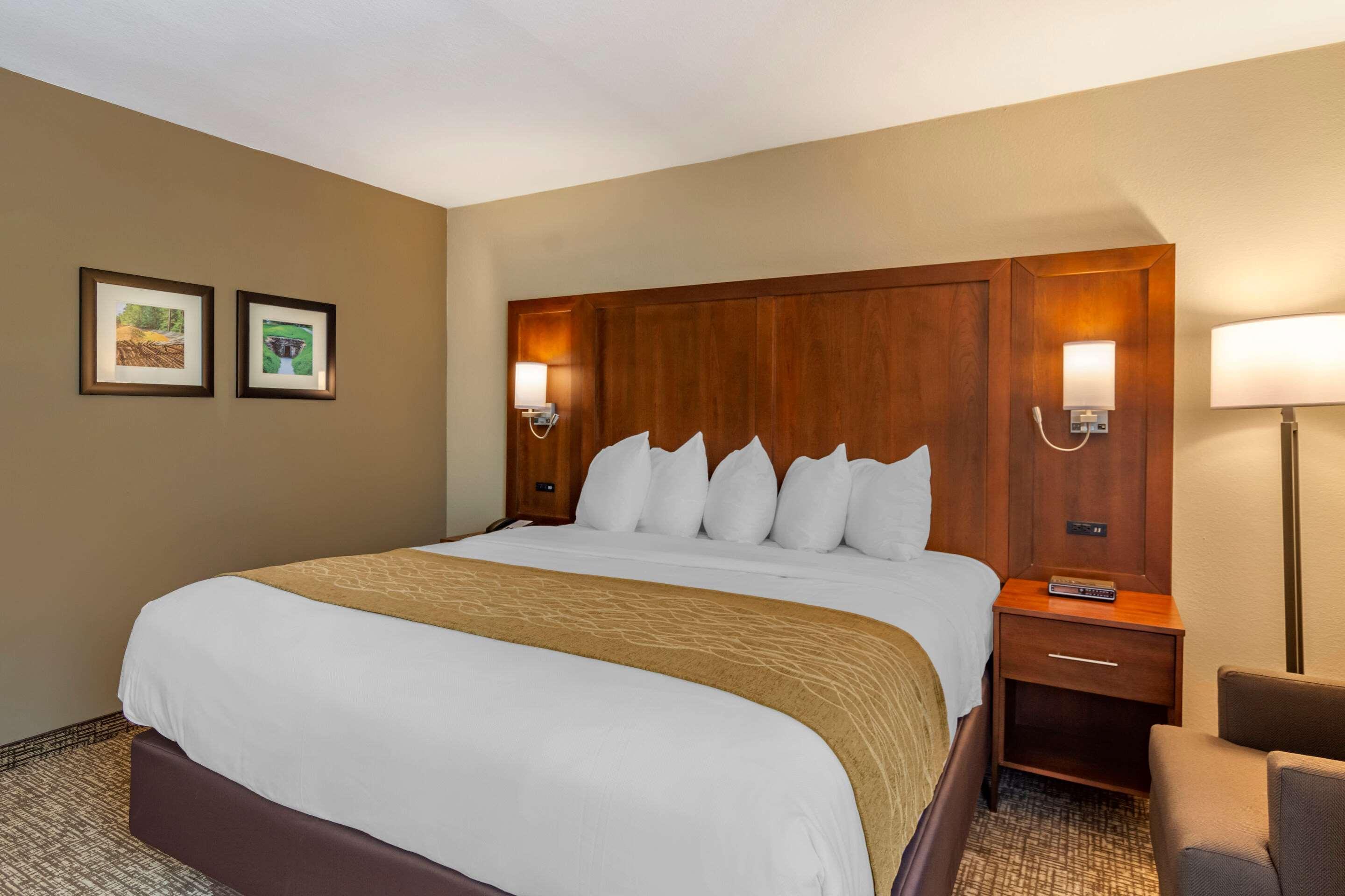 HOTEL COMFORT INN PETERSBURG - FORT LEE PETERSBURG, VA 2* (United States) -  from US$ 57 | BOOKED